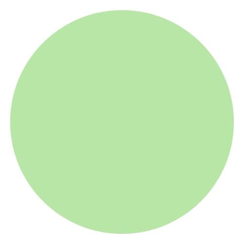 Coque magnétique ToCOL pour iPhone 17 Pro 6,3 Pouces | Anneau magnétique intégré | Protection améliorée de l'objectif | — Vert Clair
