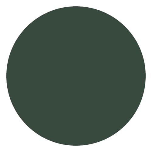 Coque magnétique ToCOL pour iPhone 17 Pro 6,3 Pouces | Anneau magnétique intégré | Protection améliorée de l'objectif | — Vert Alpin